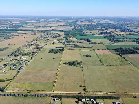 Campo en Venta de 83  ha