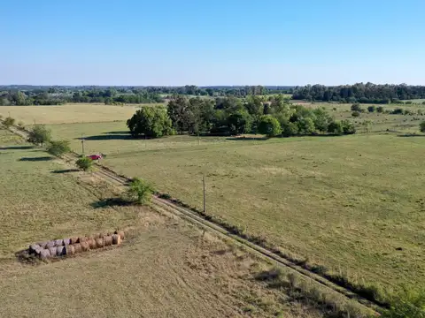 Campo en Venta de 83  ha