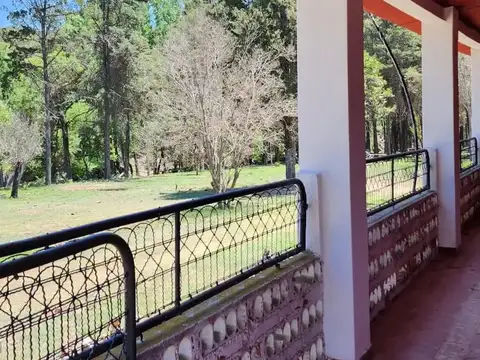 VENTA- CAMPO “LA BUENAVENTURA”– 100 HAS- VILLA TULUMBA