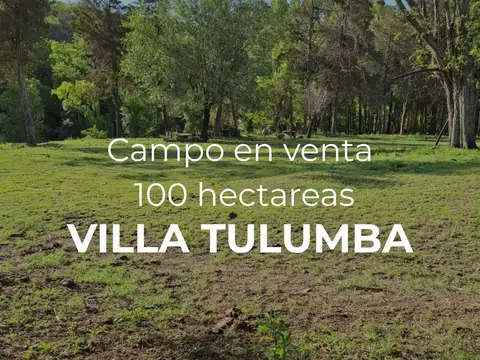 VENTA- CAMPO “LA BUENAVENTURA”– 100 HAS- VILLA TULUMBA
