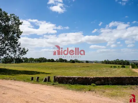 Ruta Inter balnearia Km 108. Punta del Este,