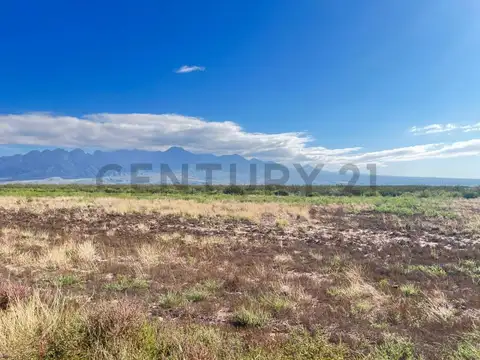 Terreno en Venta de 21655,0 m2