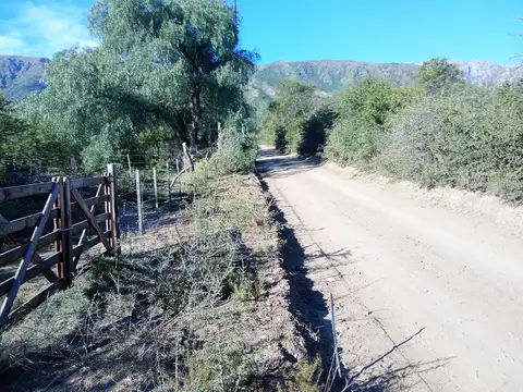 Terreno en Venta 25  mts Frente