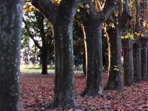 Terreno en Venta de 1094,0 m2