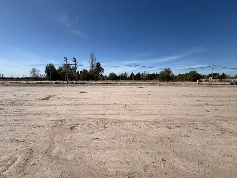 Manuel Cruz Videla 2000