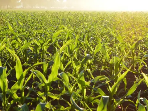 Frente al Parque industrial Roldan, sobre A012