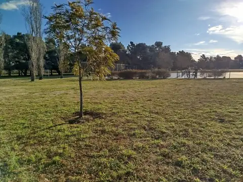 Mirabosques 2, Cardales: "El lugar soñado para vivir rodeado de pura naturaleza"