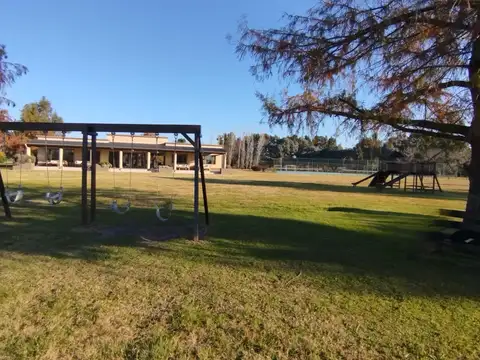 Terreno en Venta 56  mts Fondo