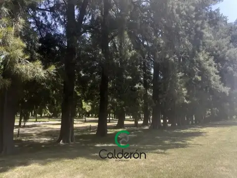 Terreno en Venta de 857,0 m2