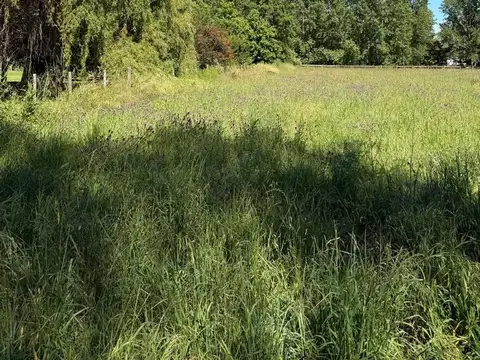 VENTA LOTE 15,000MTS ESTANCIA LAS LILAS - LUJAN