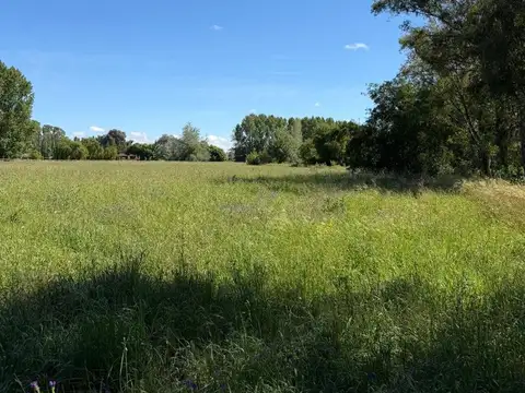 Terreno en Venta de 15000,0 m2