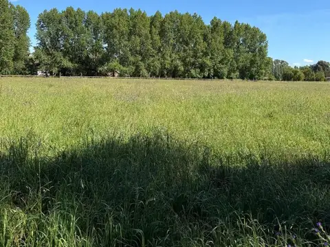 Terreno en Venta en Estancias Las Lilas, USD 100.000