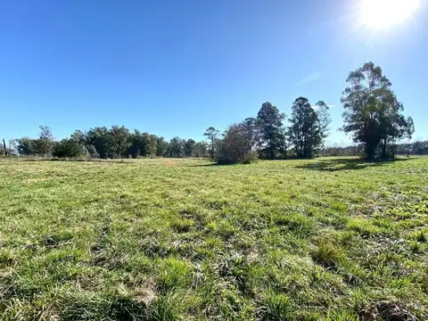 Terreno en Venta de 1500,0 m2