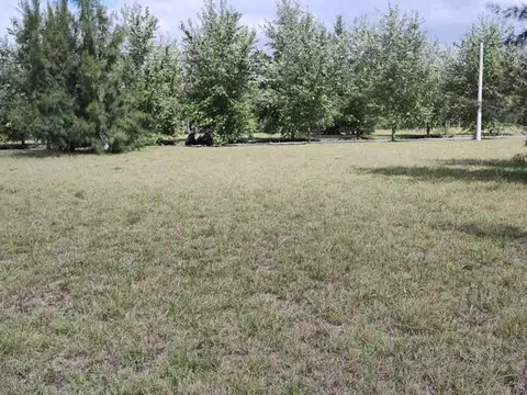 Terreno en Venta 20  mts Frente