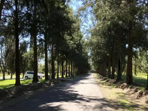 Terreno en Venta en La Plata, USD 45.000