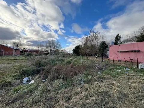 Terreno en Venta 50  mts Fondo