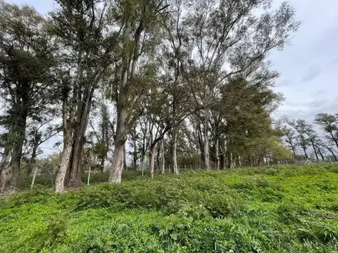 Terreno en Venta en Exaltacion De La Cruz, USD 89.000