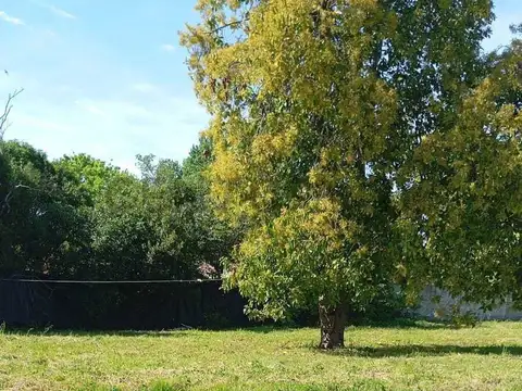 Terreno en Venta 32  mts Fondo