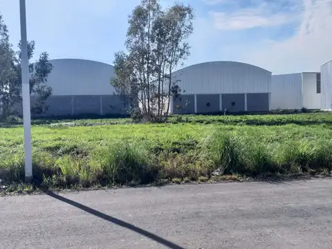 Avenida San Fernando S/n