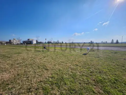 Campo en Venta de 0,15  ha