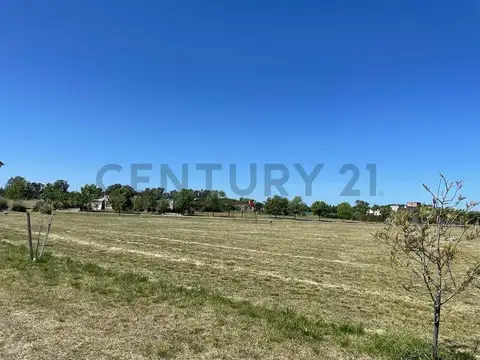 El Mirador  Club de Campo   ruta 2 km 90