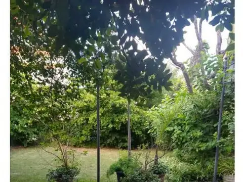 LISANDRO DE LA TORRE 5100