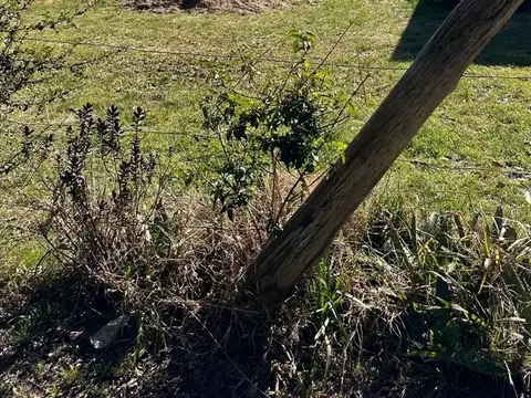 Terreno en Venta en Villa Rosa, USD 28.000