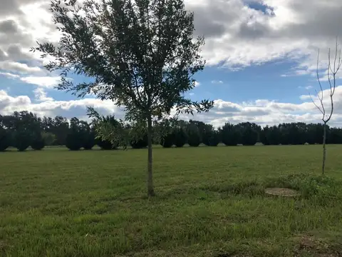 Terreno en Venta de 1100,0 m2