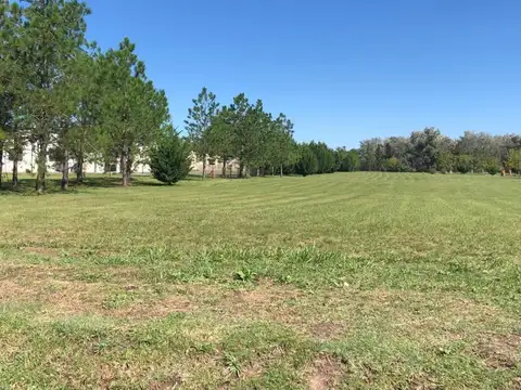 Terreno en Venta de 1100,0 m2