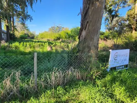 Oficina en Venta 2025 años