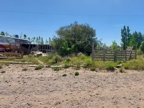 La Caña de Azúcar y La Cebada, B° Colonia Rural Nueva Esperanza