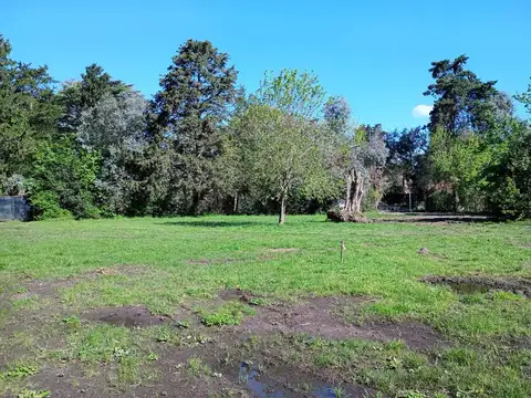 Terreno en Venta de 403,0 m2