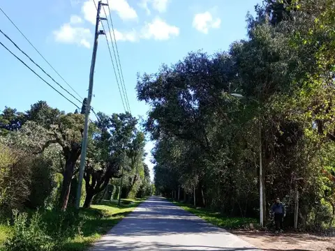 VENTA  FINANCIADO DE TERRENO DE 403 M2 TORTUGUITAS