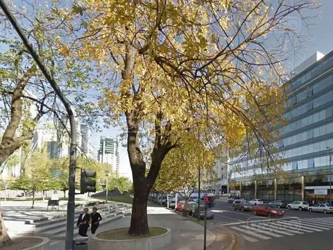 Oficina  en Alquiler en Puerto Madero, Capital Federal, Buenos Aires
