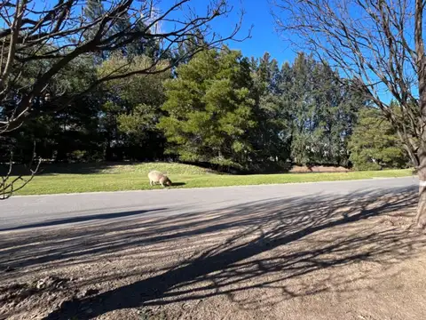 Espectacular casa 7 ambientes