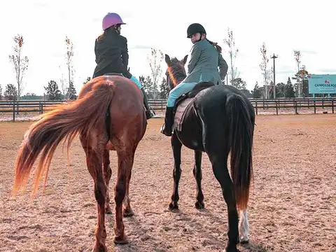 Venta de terreno en Haras del Sur I