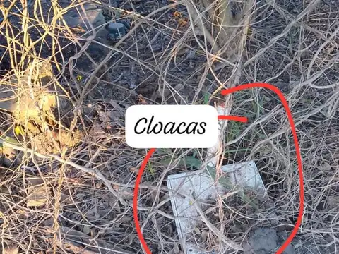 Terreno en Venta de 250,0 m2