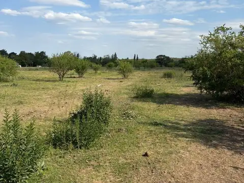 Terreno en Venta de 6009,0 m2