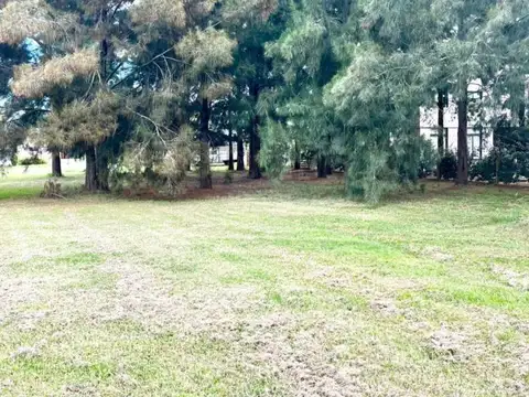 Terreno en Venta en Lisandro Olmos Etcheverry, USD 60.000