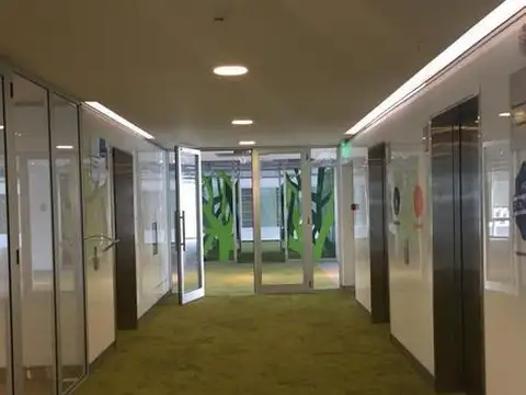 Oficina en Alquiler con 12 cocheras