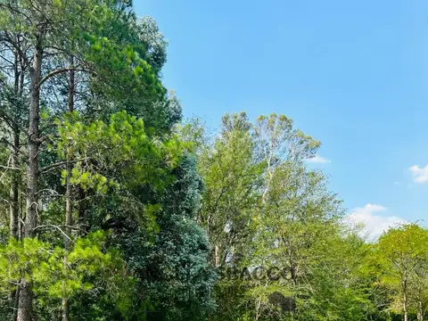 Terreno en Venta de 1750,0 m2