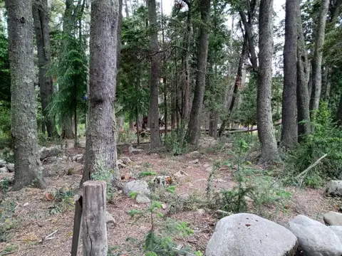 Terreno en Venta de 1500,0 m2