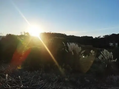 Terreno en Venta de 450,0 m2