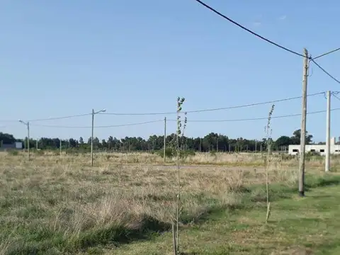 Terreno en Venta de 1063,0 m2