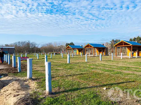 Constituyentes & Quintino Bocayuva