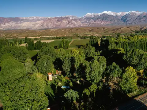 Complejo de Cabañas en Venta en Uspallata