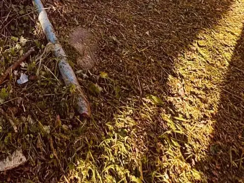 Homero manzi n 495 esq 160 , Piso 0