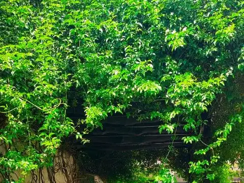 Casa en Venta en Mar De Ajo, USD 89.000