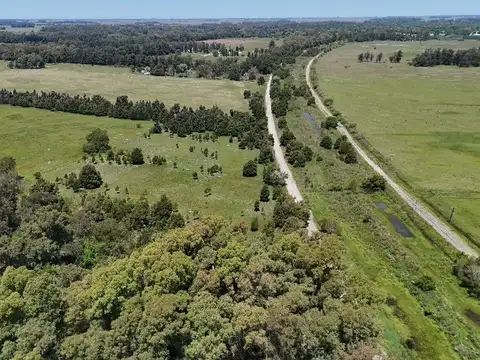 CAMPO/FRACCIÓN PRODUCTIVA 9 HECTÁREAS , VERONICA.