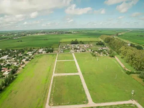 Terreno en Venta en Montecatini Alto, Piñero